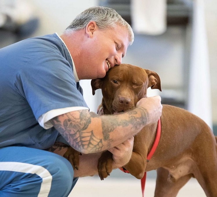 Give Your Dog Best Training in Tampa