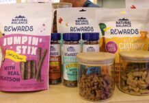 How Natural Balance Dog Food Can Do Wonders for Your Pets Natural Balance Dog Food