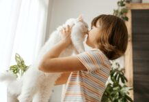 The Science Behind Pet Emotions Pet Emotions