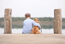 The Lifesaving Heroes: Real Stories of Personal Protection Dogs in Action Personal Protection Dogs