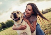 Tips for a Healthier Dog: Nutrition and Beyond Healthier Dog